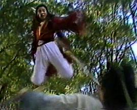 龙凤奇侠封面图