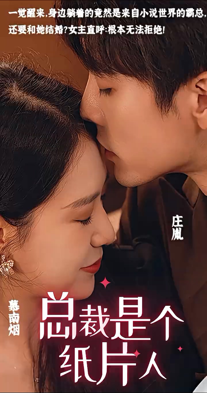 总裁是个纸片人封面图