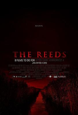 芦苇地[电影解说]封面图