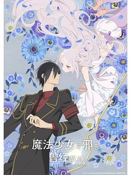 魔法少女与恶曾是敌人。封面图