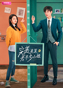 完美先生和差不多小姐印尼语字幕版封面图