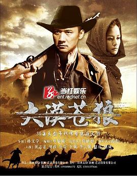 大漠苍狼2013[电影解说]封面图