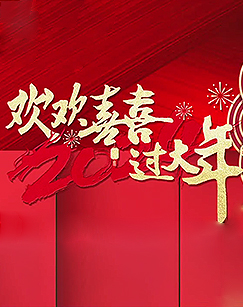 欢欢喜喜过大年封面图