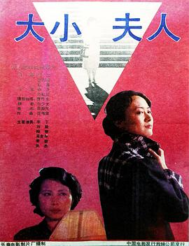 大小夫人[电影解说]封面图