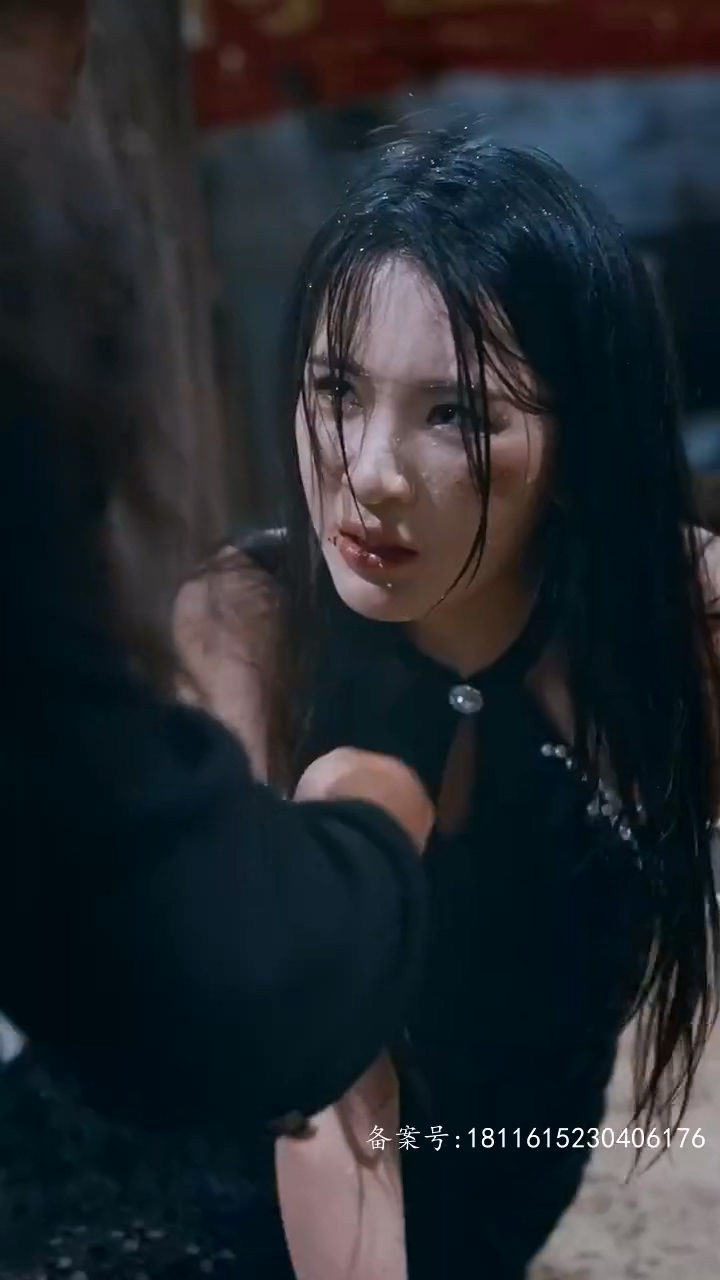 短剧卧狼行动封面图