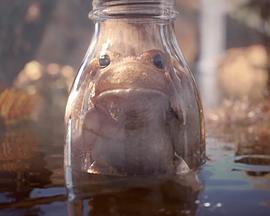 困住了[电影解说]封面图