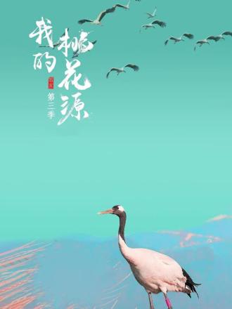 我的桃花源第三季封面图