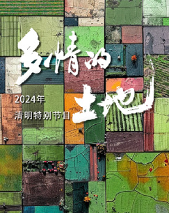 2024多情的土地封面图