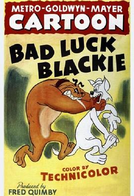 厄运小黑猫[电影解说]封面图