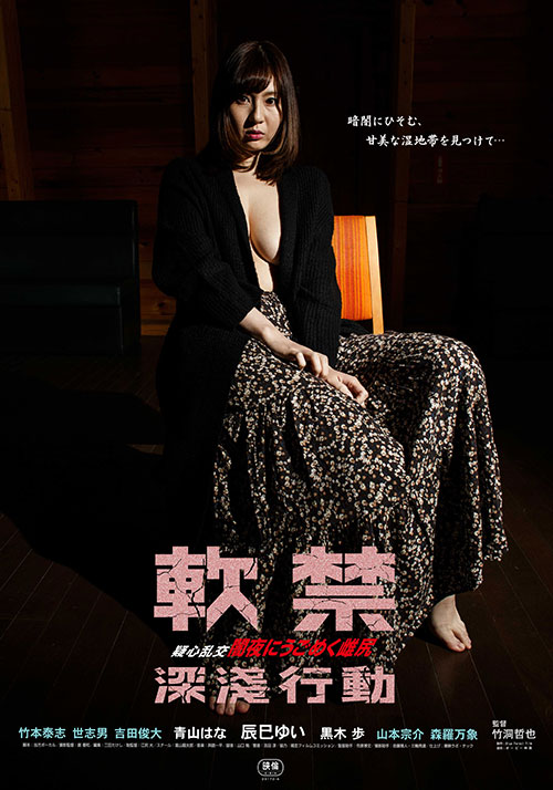 软禁：深浅行动封面图