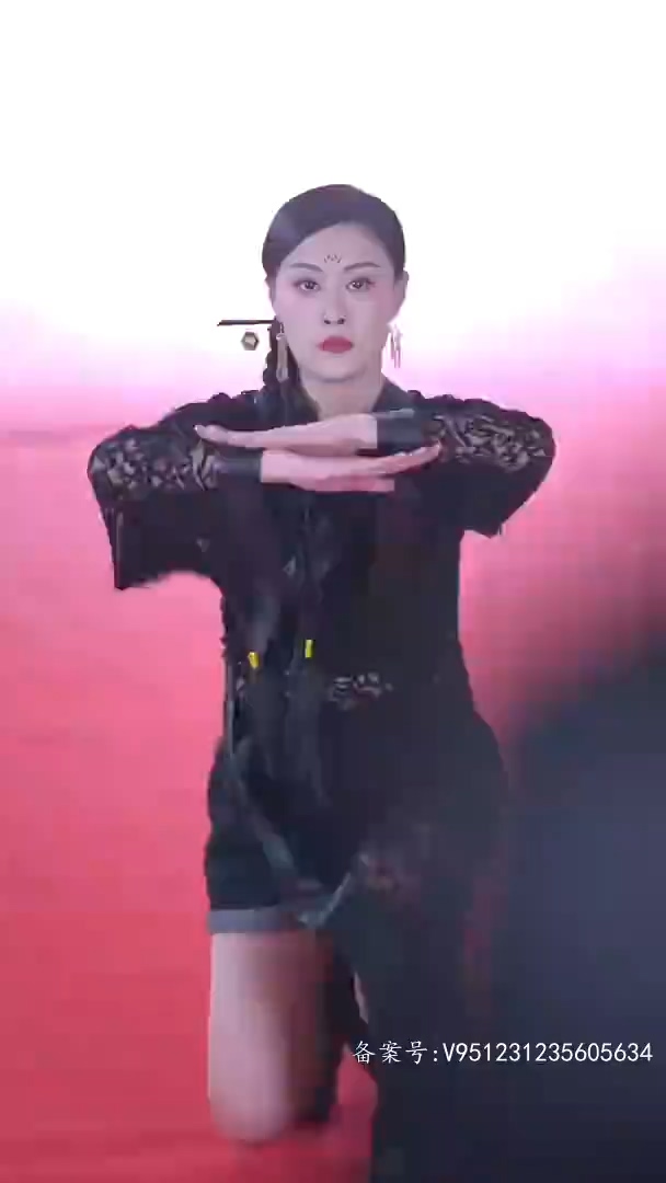 大夏帝尊封面图