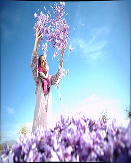 爱上波斯料理封面图