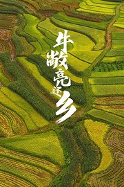 牛敞亮还乡封面图