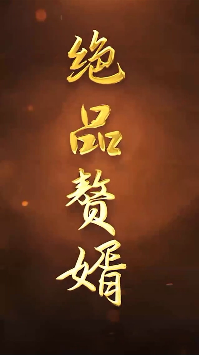 绝品赘婿封面图