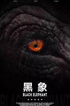 黑象[贤哥解说]封面图