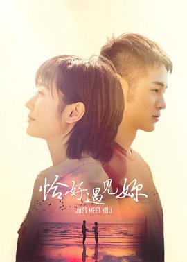 恰好遇见你2022封面图