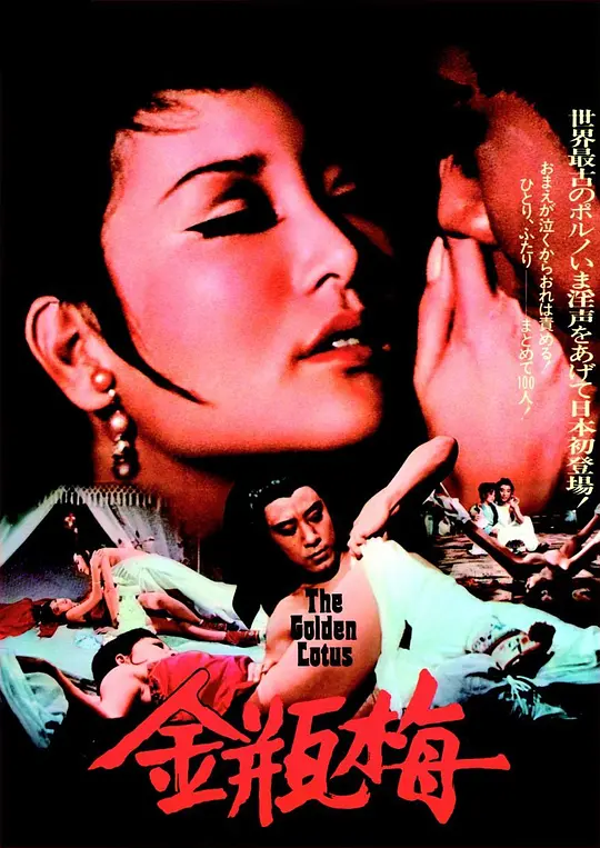 金瓶双艳封面图