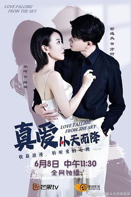 真爱从天而降封面图