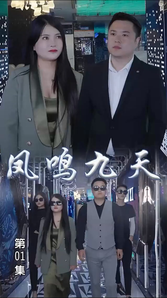 凤鸣九天封面图