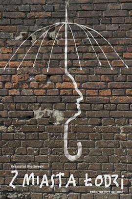 洛兹小城封面图