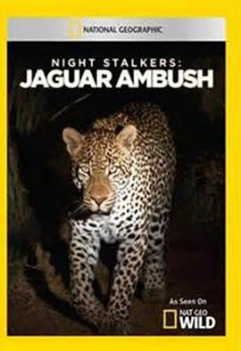 夜行追踪封面图