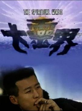 大灵界国语封面图