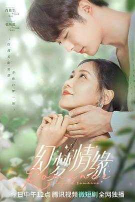 幻梦情缘封面图