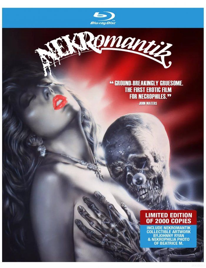 困惑的浪漫封面图