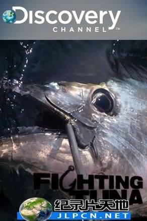 搏黑鲔拼现金封面图