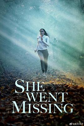 侦缉迷踪封面图