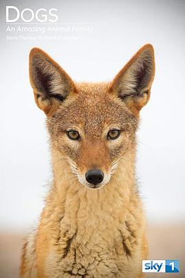 神奇的犬科家族第一季封面图