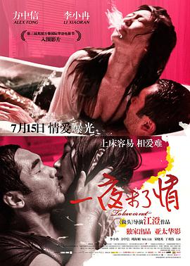 一夜未了情2011封面图