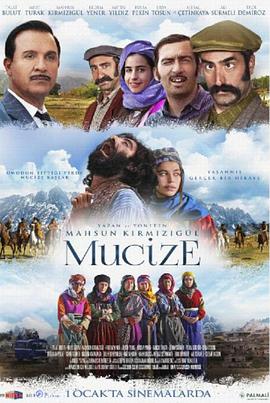 爱之奇迹封面图