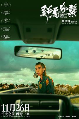 野马分鬃封面图