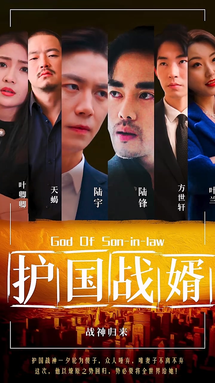 护国战婿封面图