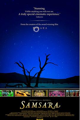 轮回[电影解说]封面图