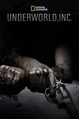 黑市大企业第一季封面图