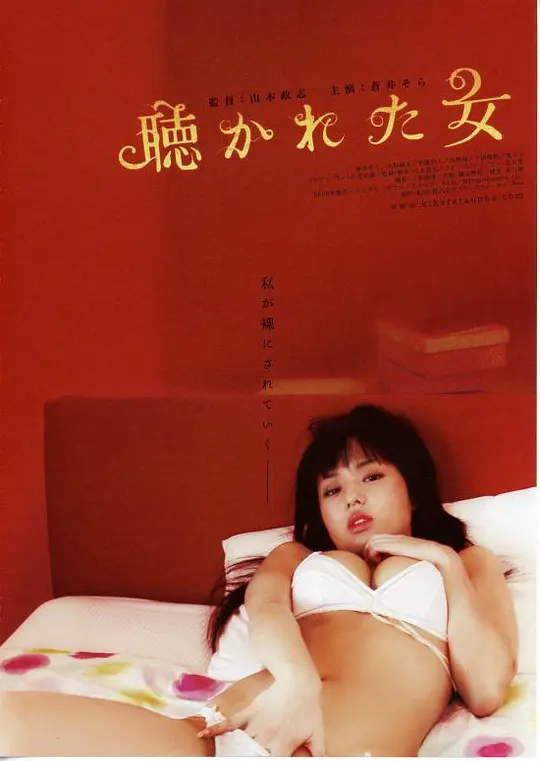 色欲迷墙封面图