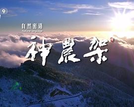 自然密语：神农架封面图