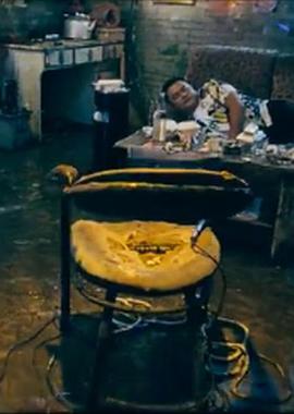 秘密金鱼封面图