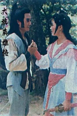 大旗英雄传台湾版封面图