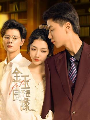 金玉不是良缘封面图