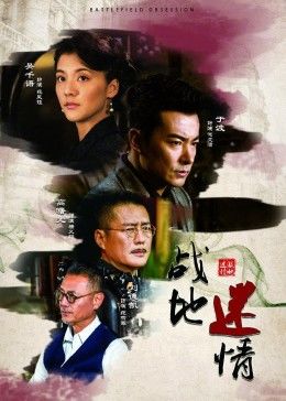 战地迷情封面图