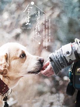 今生请多指教第三季封面图