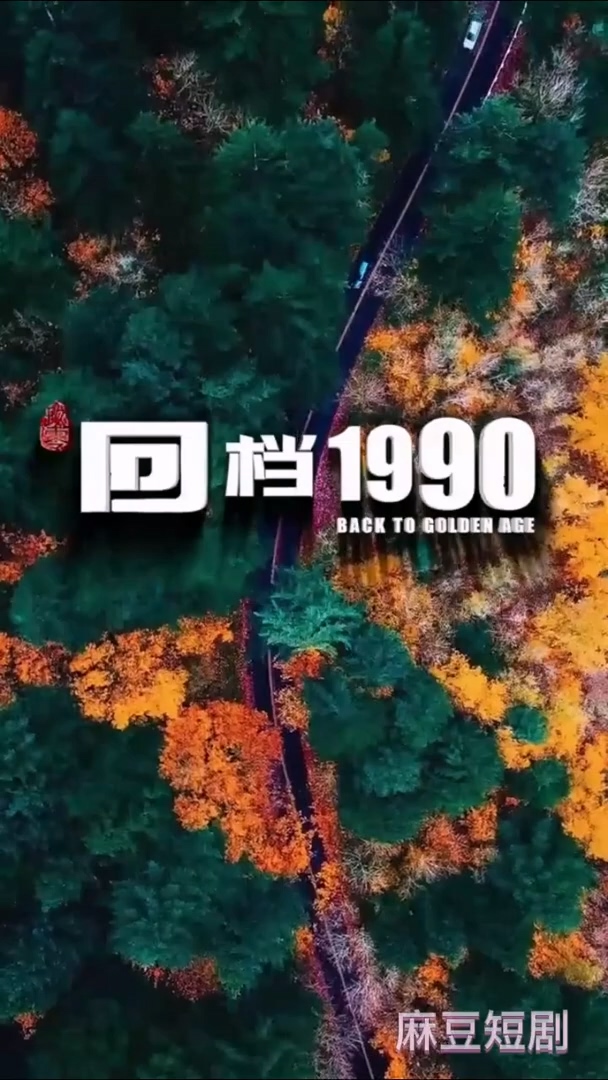 回档1990合集版封面图