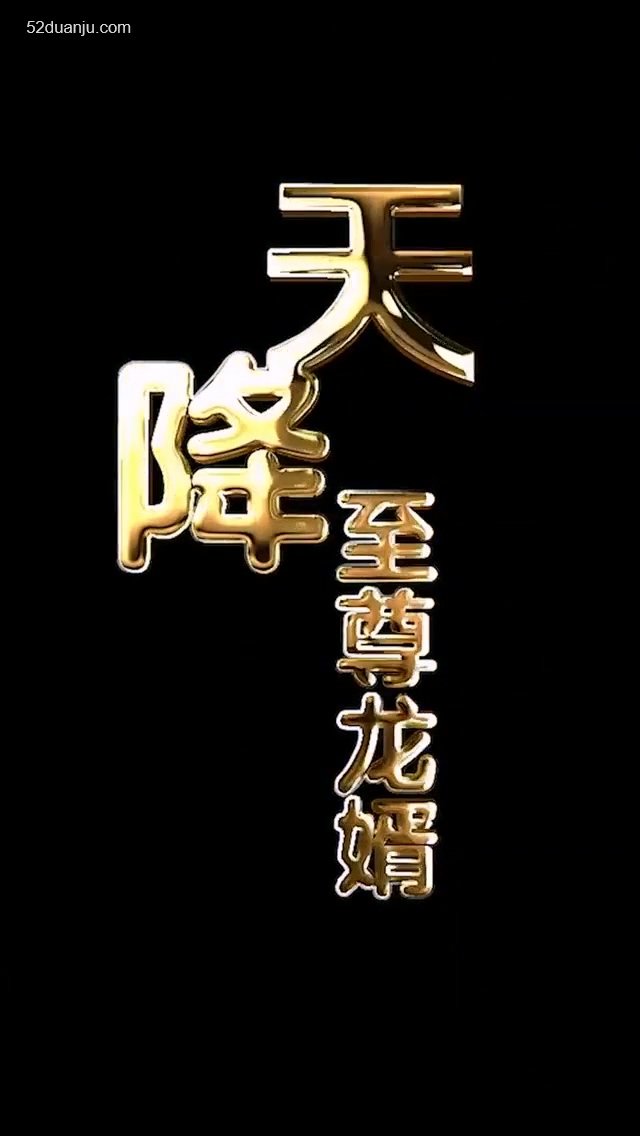 天降至尊龙婿合集版封面图