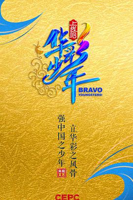 上线吧！华彩少年封面图