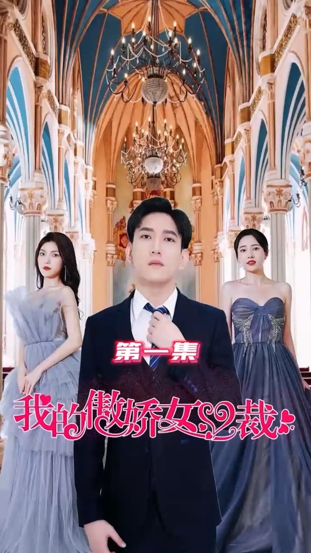 我的傲娇女总裁封面图