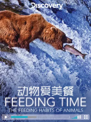 动物爱美餐封面图