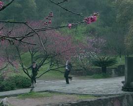 梦寻桃花源封面图